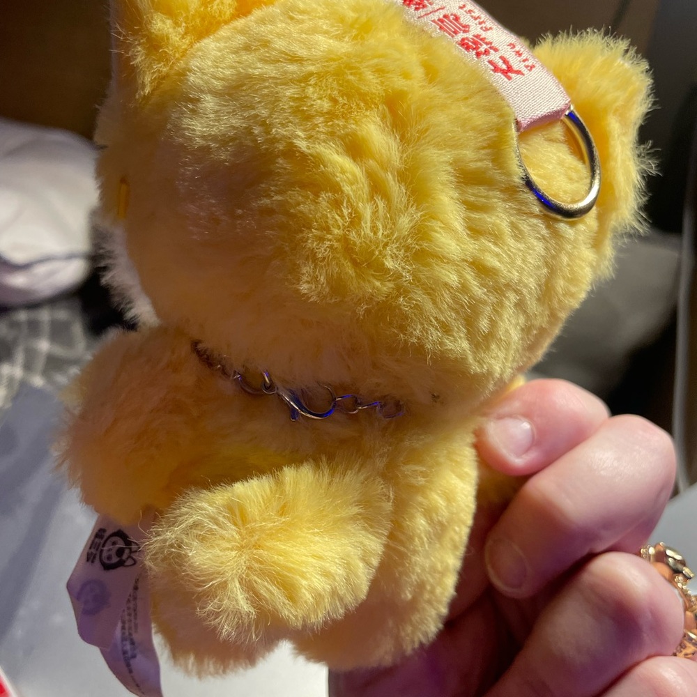 Authentic Labubu RARE with PACIFIER - Picture 3 of 4